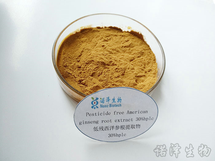 低殘西洋參根提取物30%hplc