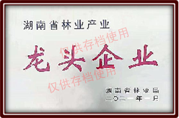 龍頭企業(yè)