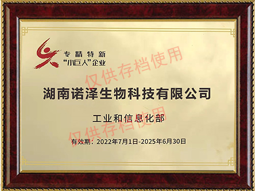 專精特新 “小巨人”企業(yè)