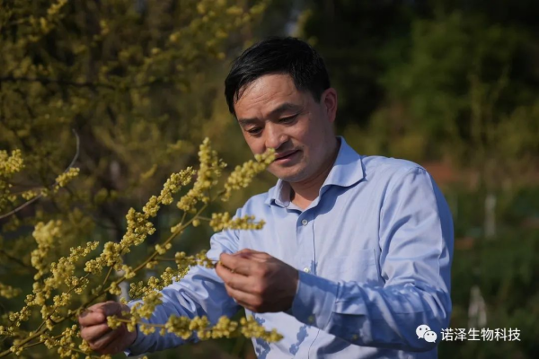 科創(chuàng)湖南之星|劉智謀：萃取中藥精華，反哺一方經(jīng)濟(jì)