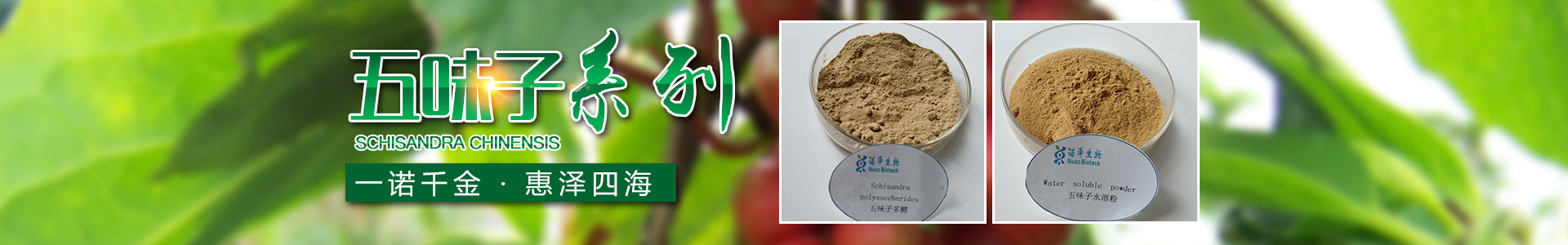 湖南諾澤生物科技有限公司_湖南健康植物提取物|保健品的原料有哪些|哪家公司的植物提取質(zhì)量更好