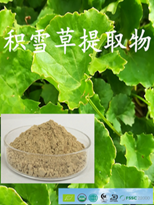 積雪草系列產(chǎn)品