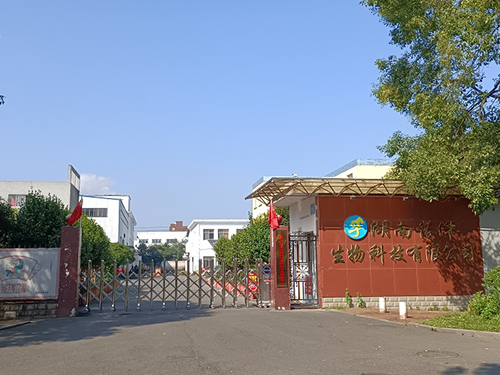 關(guān)于我們